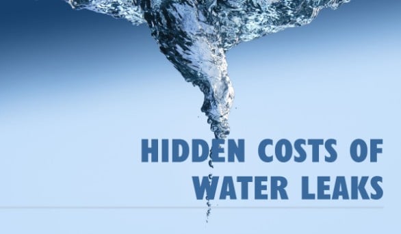 leak detection skagit county,non-invasive leak detection snohomish county,underground water leaks