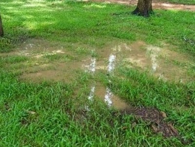non-invasive leak detection,underground leak detection,water leak detection washington