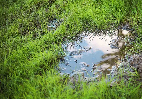 detecting leaks in yard,hidden irrigation leaks,seasonal landscaping water usage,underground water leak detection,water conservation and landscaping