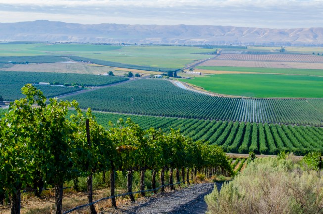 farm irrigation leaks,irrigation leak detection,non-invasive leak detection
