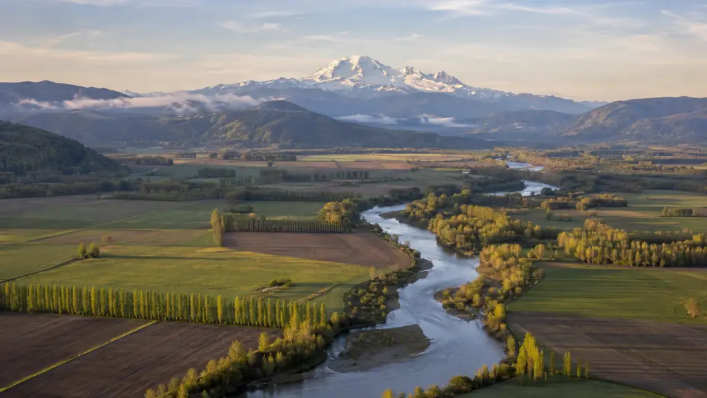 Leak Detection in Skagit County