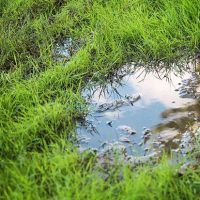 detecting leaks in yard,hidden irrigation leaks,seasonal landscaping water usage,underground water leak detection,water conservation and landscaping