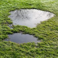 Pools of standing water on a lawn from a hidden underground water leak